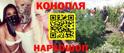 apvp Ипатово