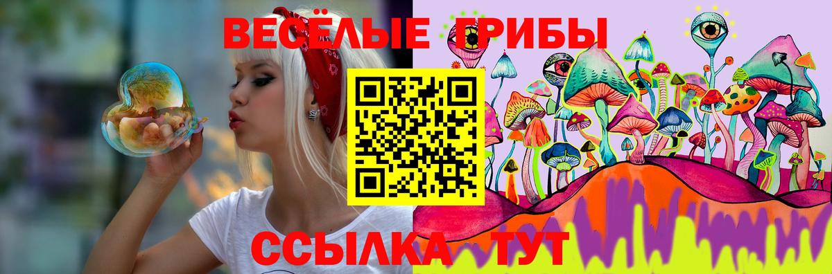 Галлюциногенные грибы GOLDEN TEACHER Луга